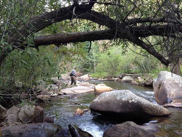 colorado fishing