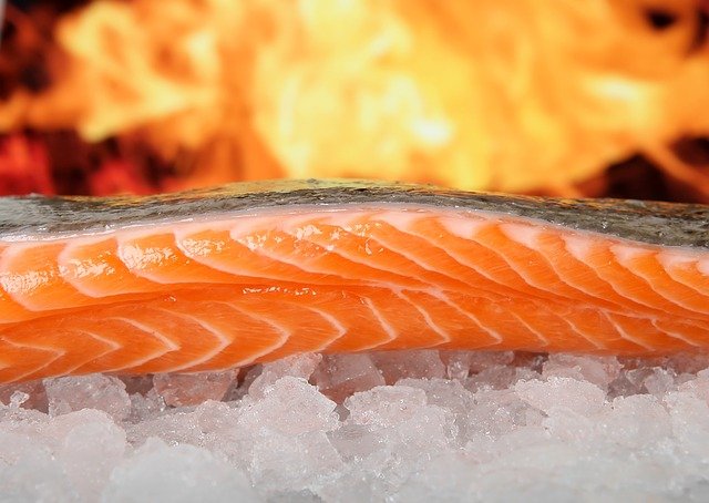 photo of a salmon filet 