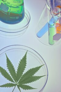 cannabis leaf testing in a lab