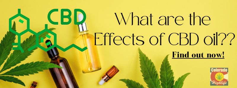 What are the Effects of CBD oil