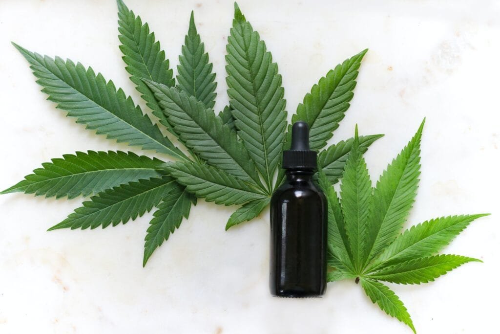 cannabis leafs and bottle with cbd oil