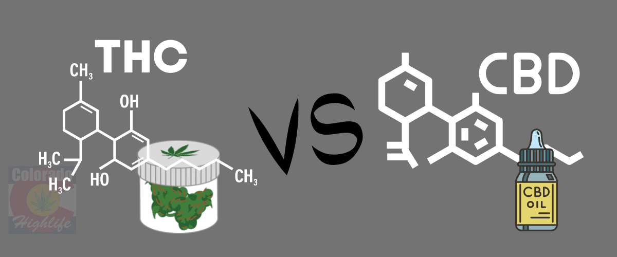 thc-vs-cbd graphic