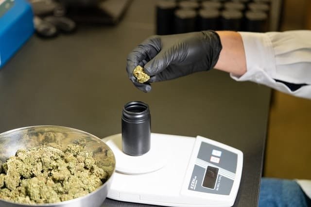 photo of a bud tenders hand weighing cannabis for purchase