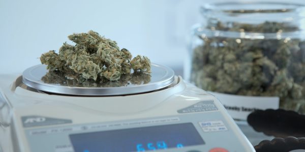 cannabis on a scale