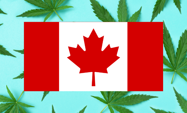 All you need to know about weed consumption in Canada