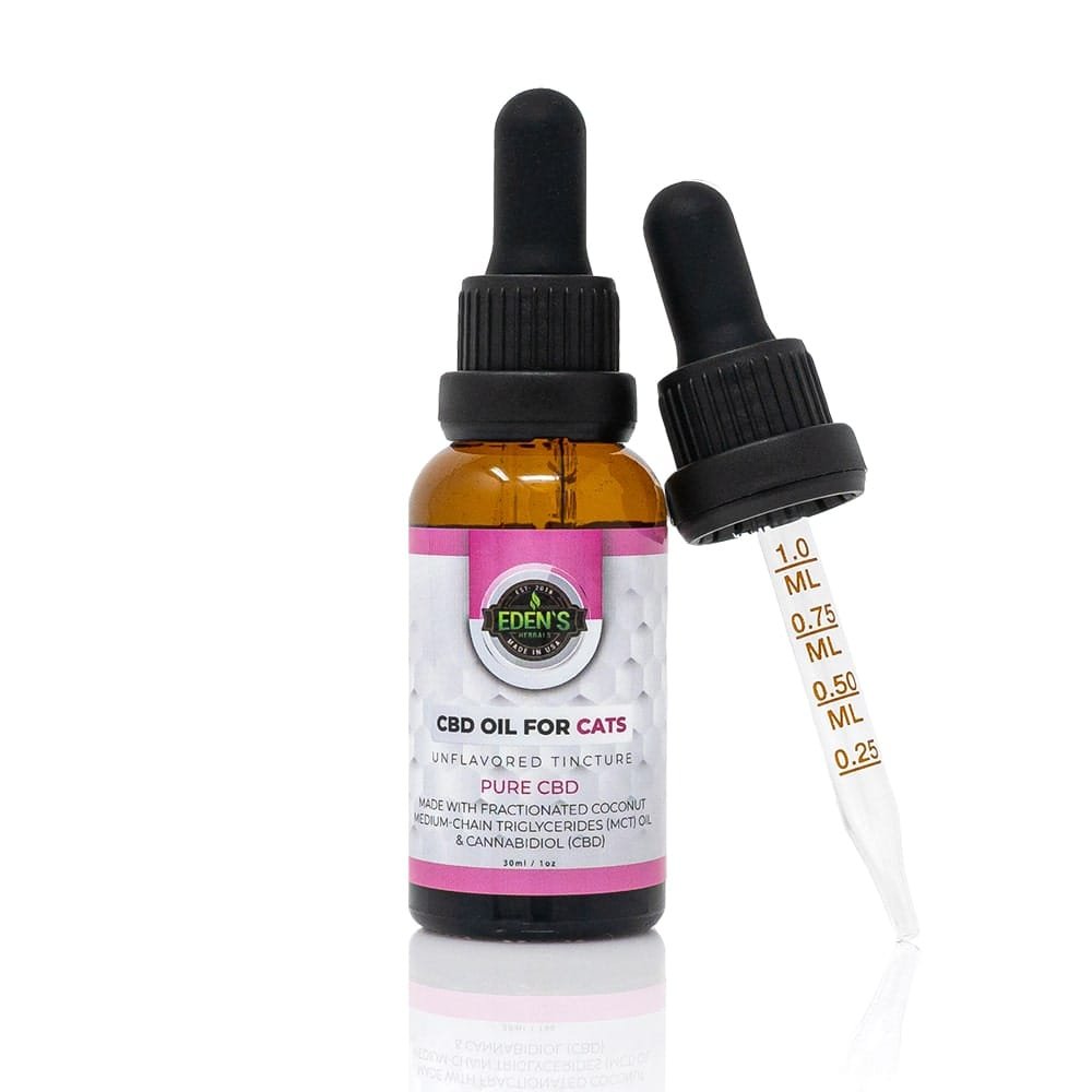 bottle of cbd oil for cats