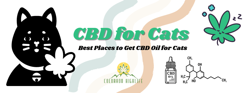 cbd for cats banner