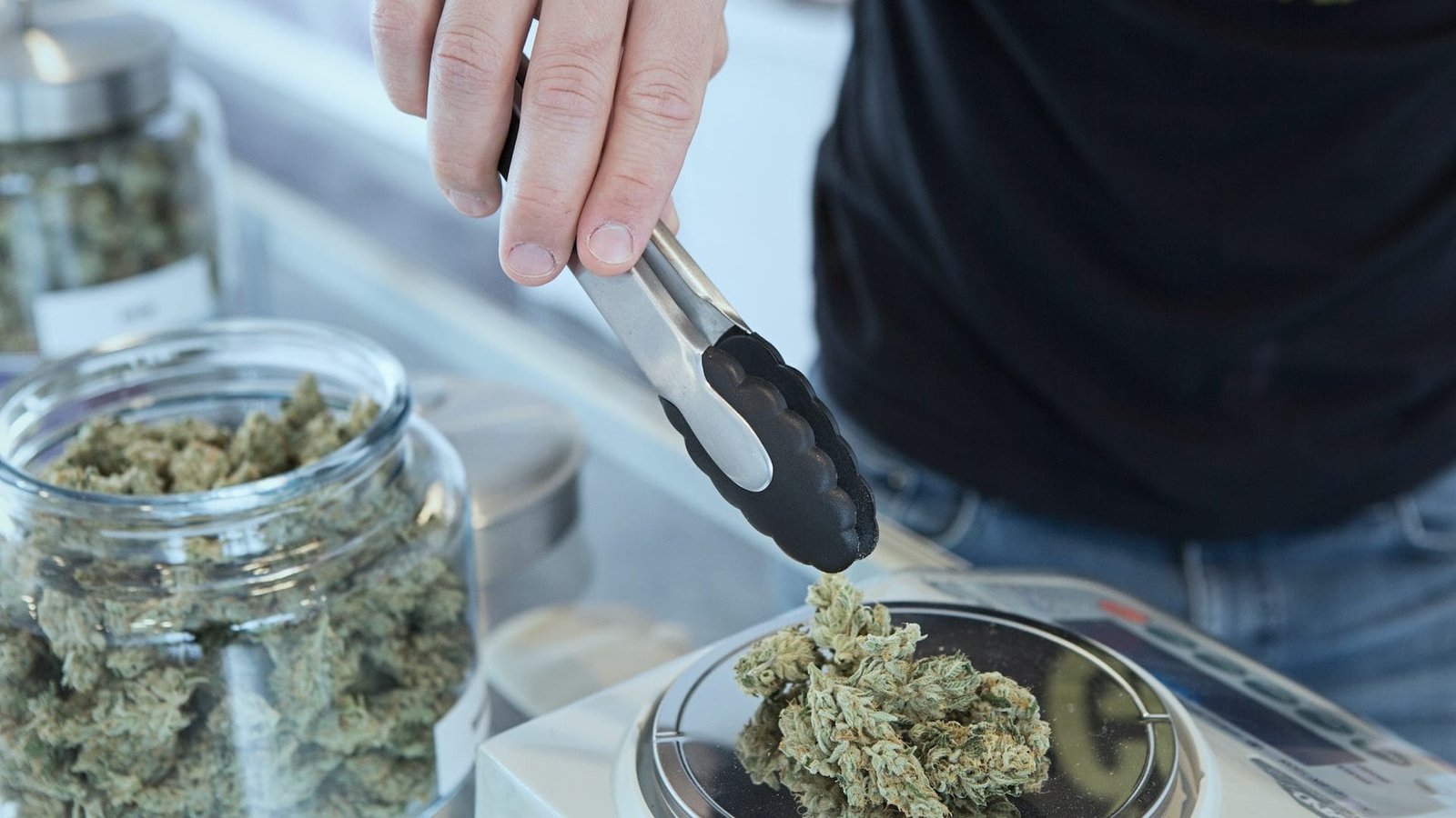 someone dispensing cannabis for medical use