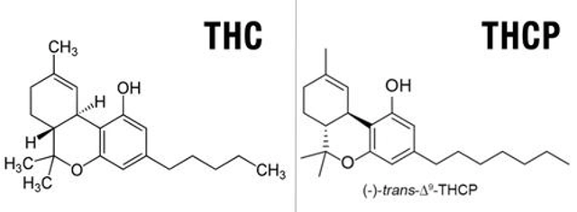 thcp vs delta 9