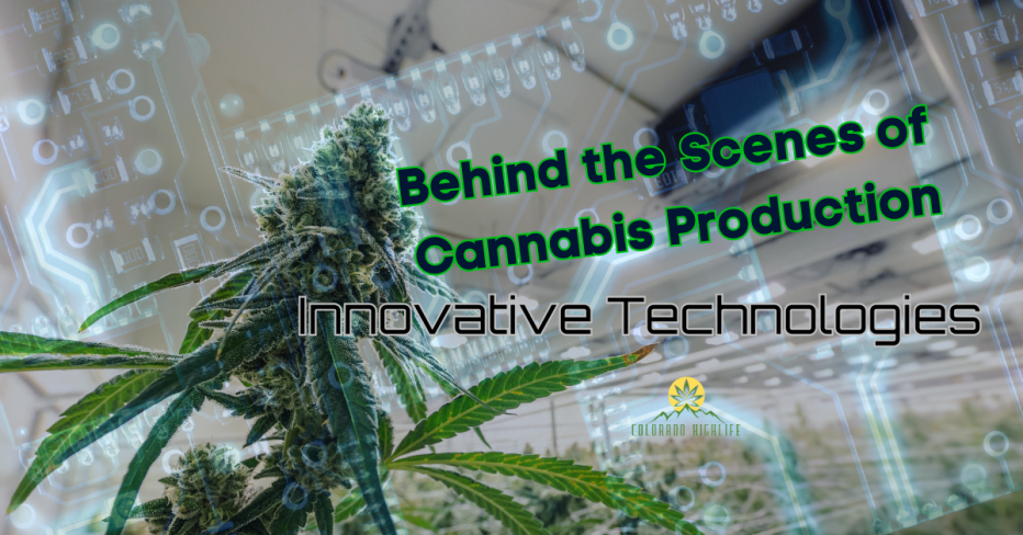 Behind the Scenes of Cannabis Production: Innovative Technologies in Practice