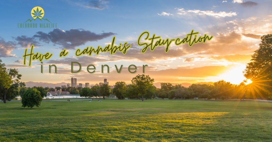 Cannabis Friendly Stay-cation in Denver