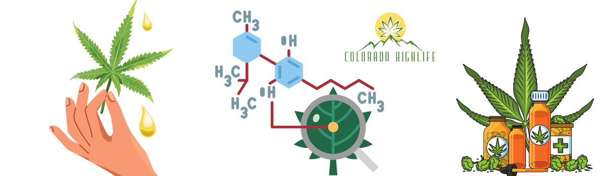 water soluable cbd lifecycle 