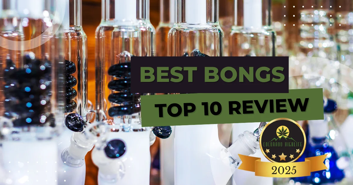 best bongs for 2025 hand picked for you