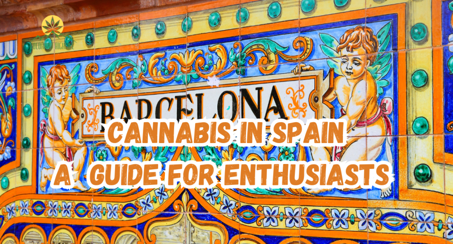 Cannabis in Spain A Guide for Enthusiasts